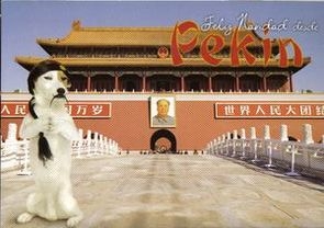POSTAL FELICITACION NAVIDAD NUEVA LAE PANCHO PEKIN CARTE POSTALE POSTCARD